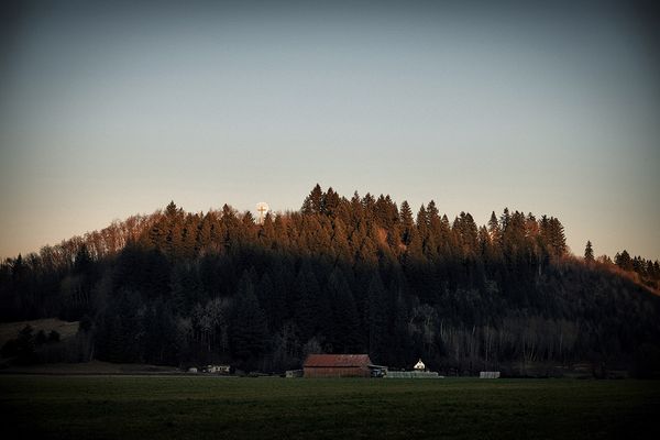 © Tirdad Aghakhani - EVERYTHING WAS GREAT LIKE THE BEGINNING.