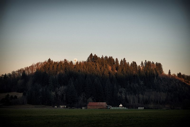 © Tirdad Aghakhani - EVERYTHING WAS GREAT LIKE THE BEGINNING.