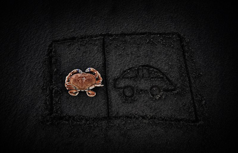 © Tirdad Aghakhani - WHEN YOU HAVE SOMETHING, BUT YOU DO NOT HAVE THE ABILITY TO USE IT.