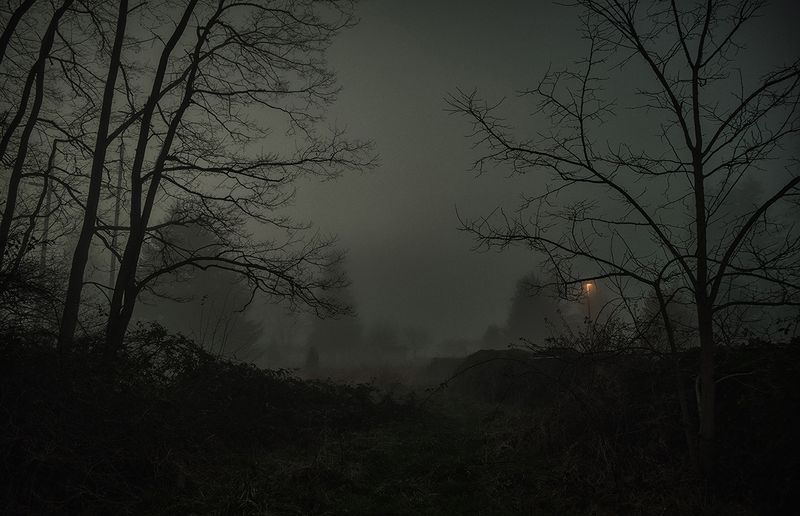 © Tirdad Aghakhani - I AM LOST IN MY DREAM, TAKE ME TO THE REALITY.