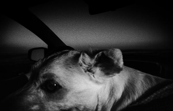 © Tirdad Aghakhani - THE BRIDGE BETWEEN US.