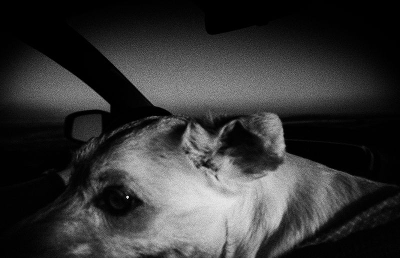 © Tirdad Aghakhani - THE BRIDGE BETWEEN US.