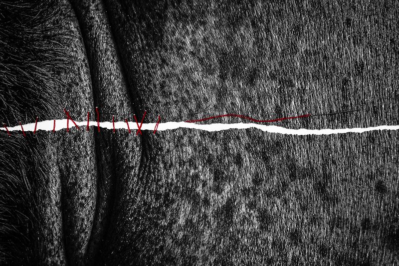 © Tirdad Aghakhani - REPAIRING AFTER ALL. TIME CAN REMOVE THE PAIN.