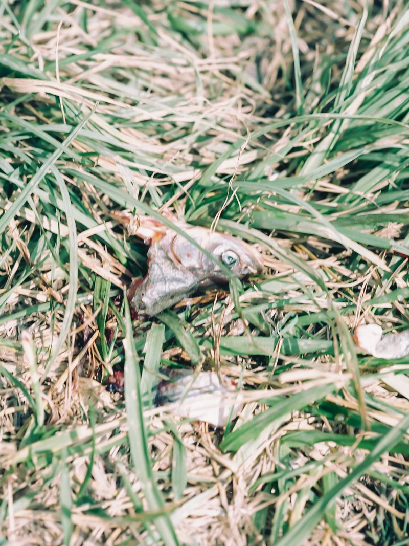 © Lindsey Kennedy - Image from the Miner photography project