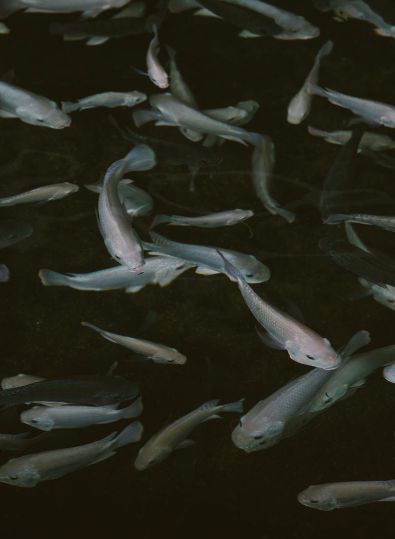 © Lindsey Kennedy - Image from the Amiss photography project