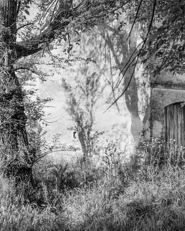 © Aaron Schuman - Image from the PASSACÖR photography project