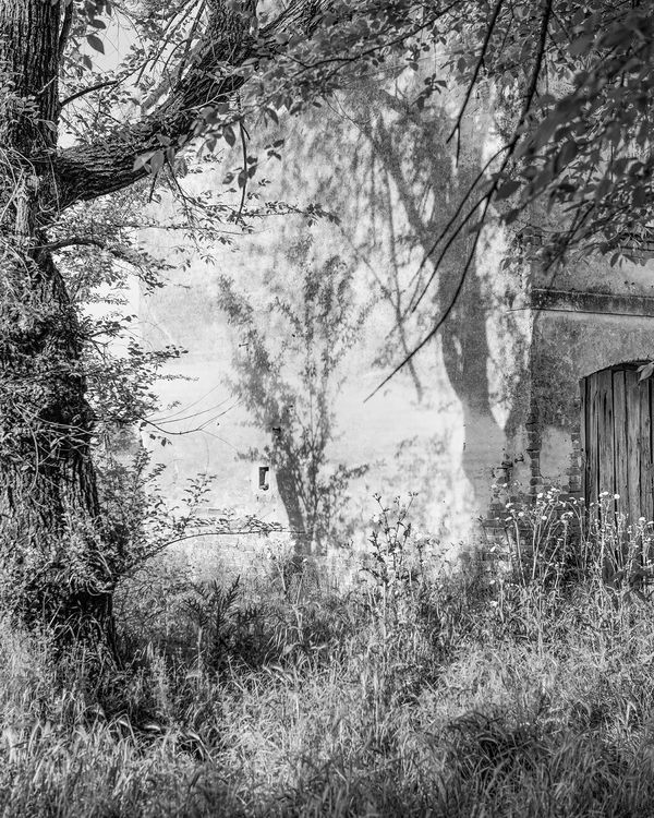 © Aaron Schuman - Image from the PASSACÖR photography project