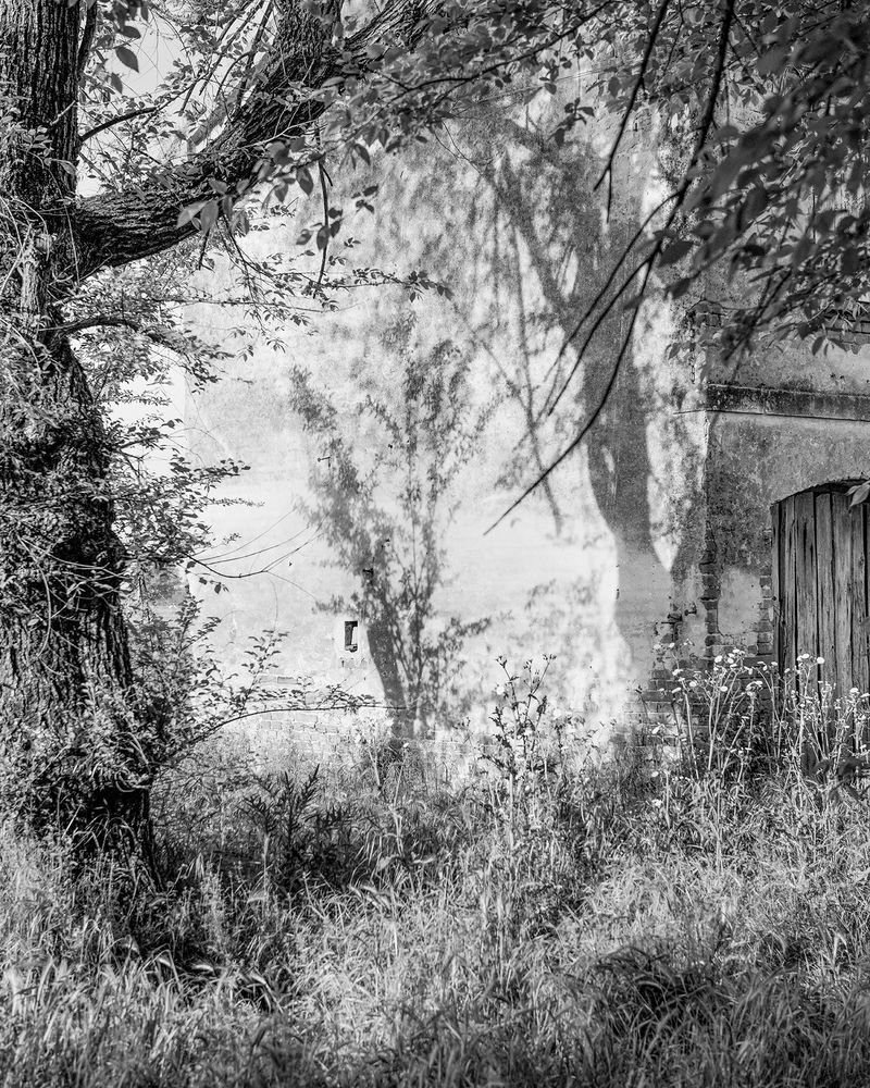 © Aaron Schuman - Image from the PASSACÖR photography project