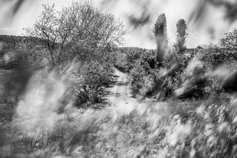 © Aaron Schuman - Image from the PASSACÖR photography project