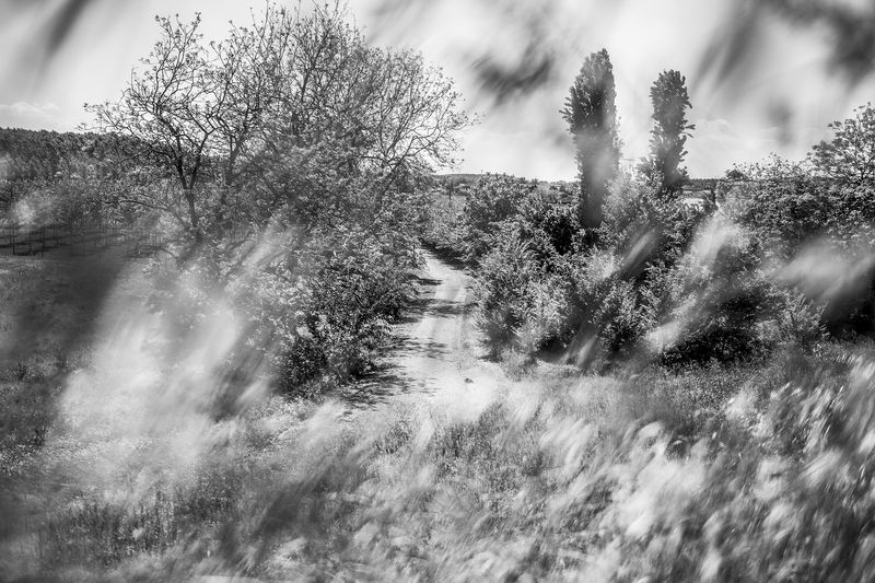 © Aaron Schuman - Image from the PASSACÖR photography project