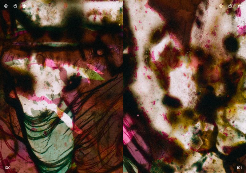 © Ben Zaha - Image from the Specimen 1-101 photography project