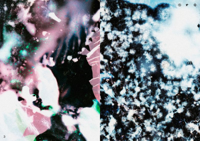 © Ben Zaha - Image from the Specimen 1-101 photography project