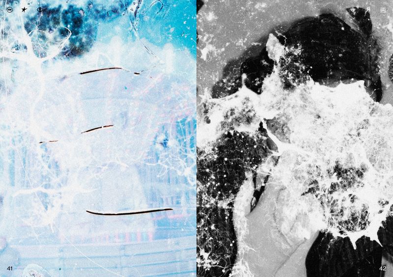 © Ben Zaha - Image from the Specimen 1-101 photography project