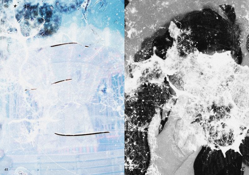© Ben Zaha - Image from the Specimen 1-101 photography project