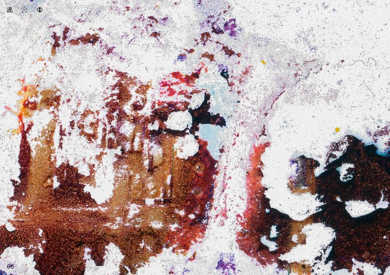 © Ben Zaha - Image from the Specimen 1-101 photography project