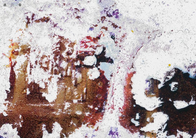 © Ben Zaha - Image from the Specimen 1-101 photography project