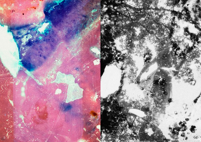 © Ben Zaha - Image from the Specimen 1-101 photography project