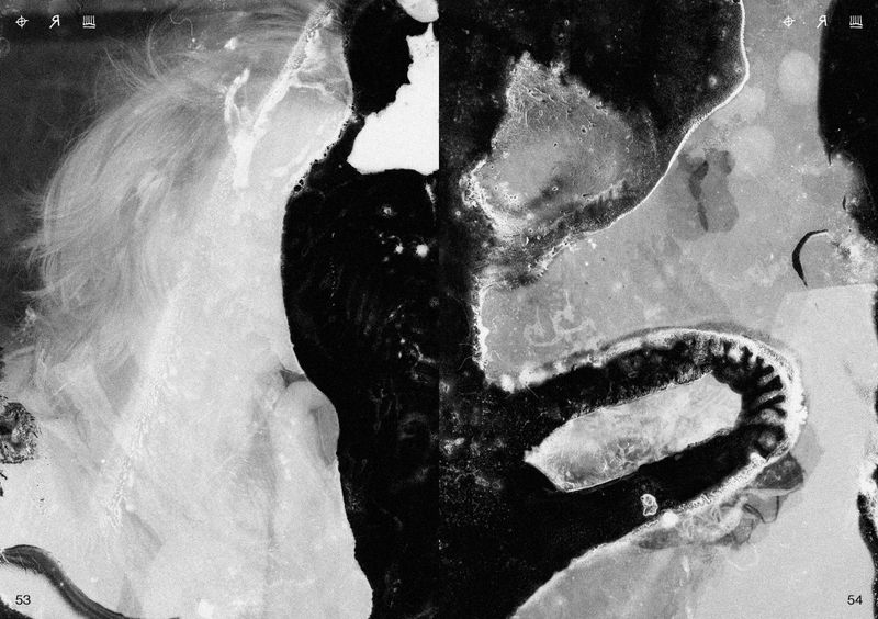 © Ben Zaha - Image from the Specimen 1-101 photography project