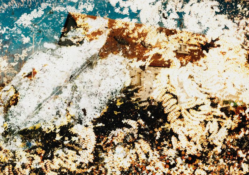 © Ben Zaha - Image from the Specimen 1-101 photography project