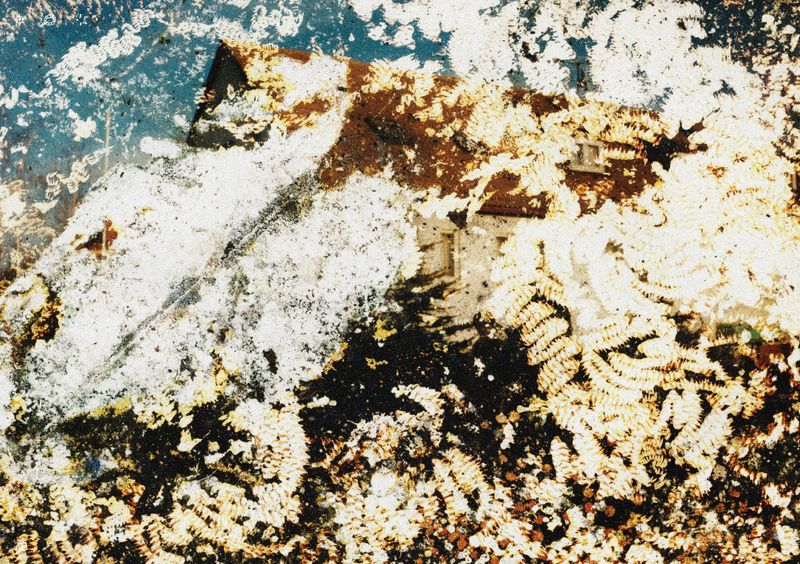 © Ben Zaha - Image from the Specimen 1-101 photography project