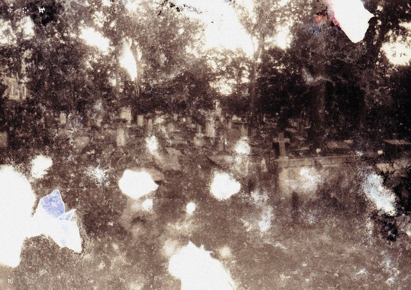 © Ben Zaha - Image from the Specimen 1-101 photography project