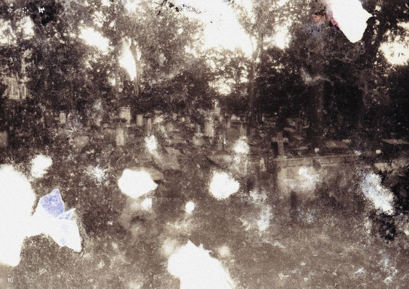© Ben Zaha - Image from the Specimen 1-101 photography project
