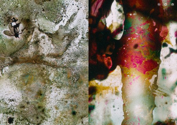 © Ben Zaha - Image from the Specimen 1-101 photography project