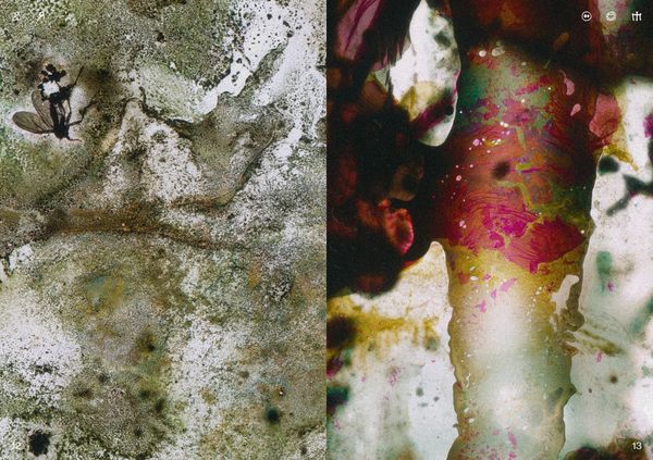 © Ben Zaha - Image from the Specimen 1-101 photography project