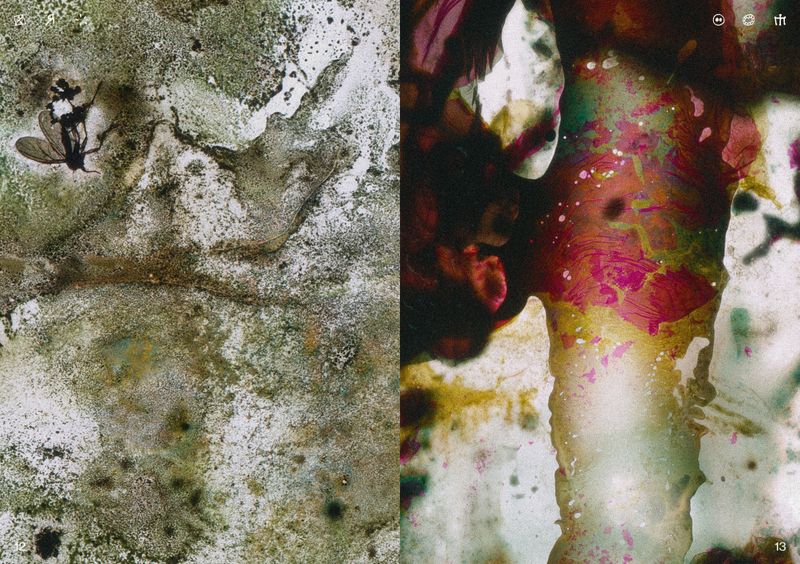© Ben Zaha - Image from the Specimen 1-101 photography project