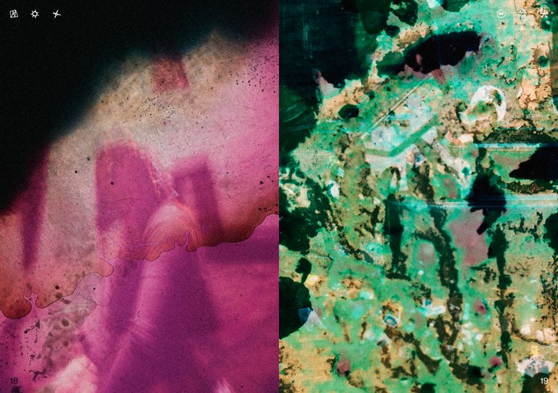 © Ben Zaha - Image from the Specimen 1-101 photography project