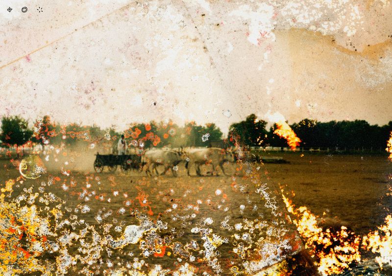 © Ben Zaha - Image from the Specimen 1-101 photography project