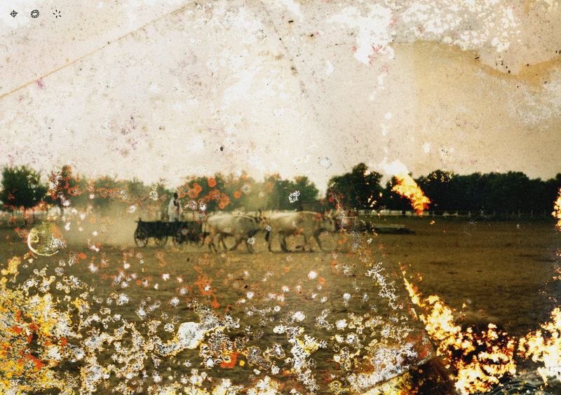 © Ben Zaha - Image from the Specimen 1-101 photography project