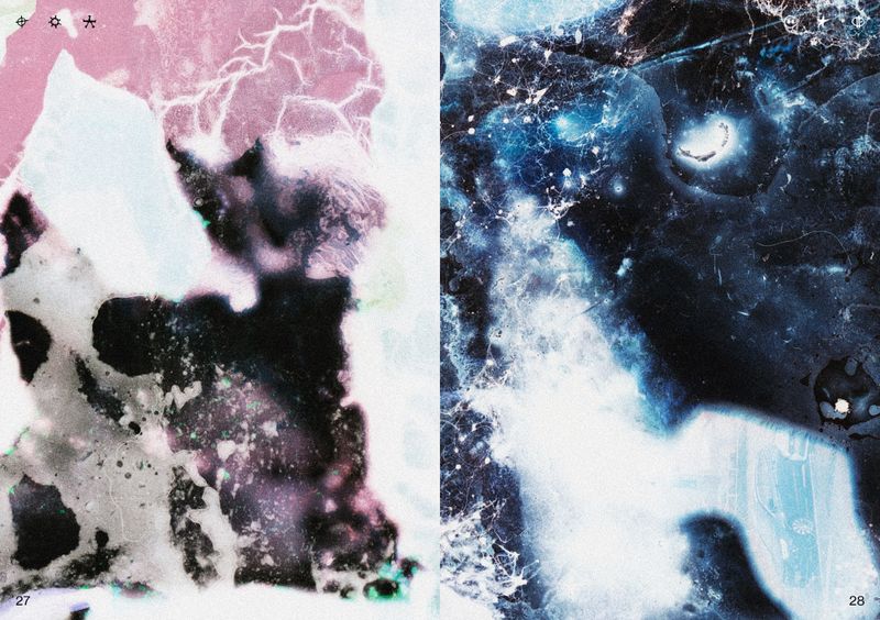 © Ben Zaha - Image from the Specimen 1-101 photography project