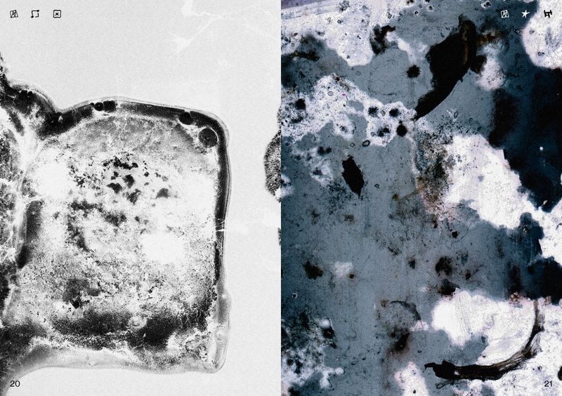 © Ben Zaha - Image from the Specimen 1-101 photography project