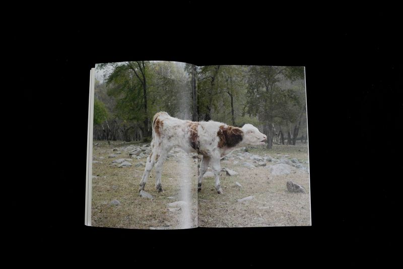 © yuan lin - Image from the 《Duration》 photography project