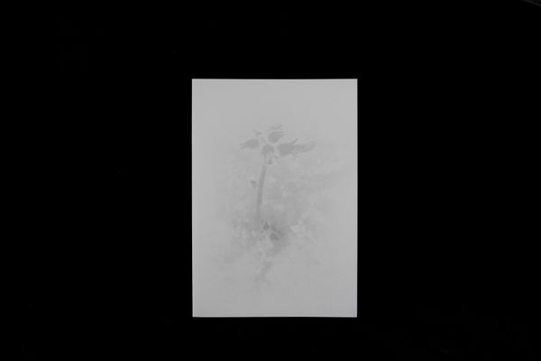 © yuan lin - Image from the 《Duration》 photography project