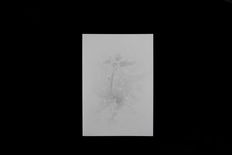 © yuan lin - Image from the 《Duration》 photography project