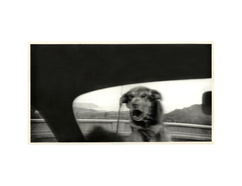 © Peter Leighton - From the series, Man Lives Through Plutonium Blast