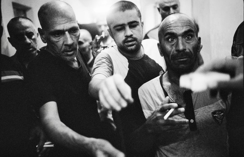 © Simon Chang - Image from the Shepherds and the slaughterhouse photography project