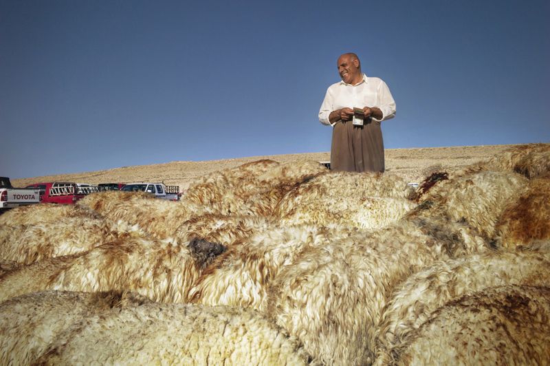 © Simon Chang - Image from the Shepherds and the slaughterhouse photography project