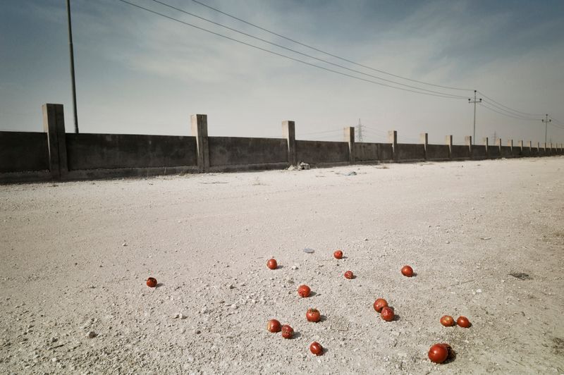 © Simon Chang - Image from the Shepherds and the slaughterhouse photography project