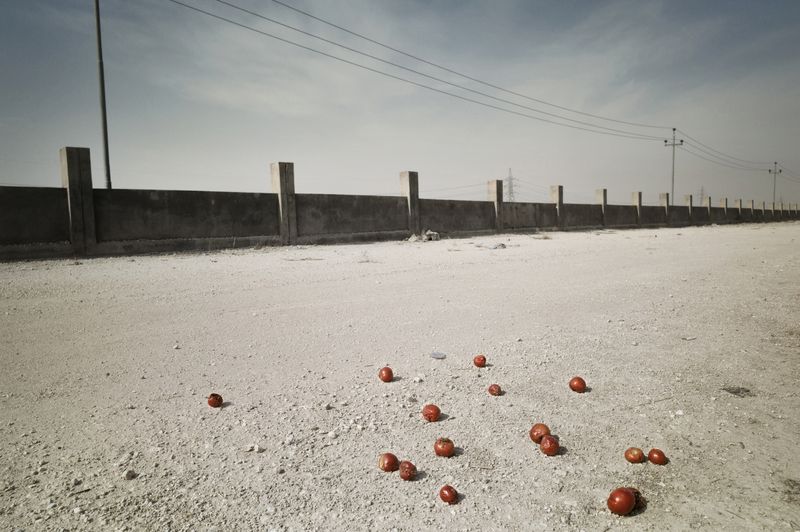 © Simon Chang - Image from the Shepherds and the slaughterhouse photography project