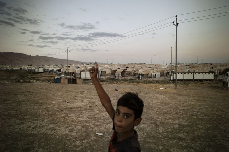 © Simon Chang - Image from the Shepherds and the slaughterhouse photography project