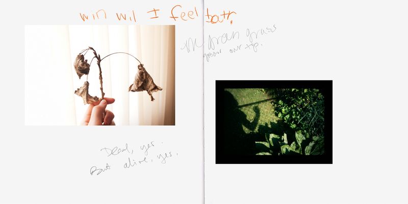 © Anna Leigh Clem - Image from the It will become something photography project