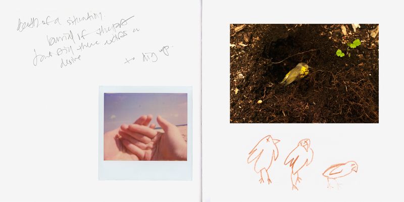 © Anna Leigh Clem - Image from the It will become something photography project