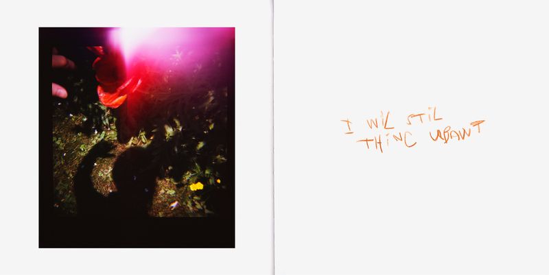 © Anna Leigh Clem - Image from the It will become something photography project