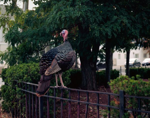 © Anna Leigh Clem - Image from the Visitor photography project