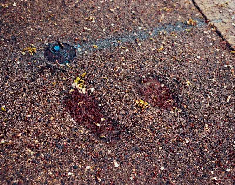 © Anna Leigh Clem - Image from the Visitor photography project