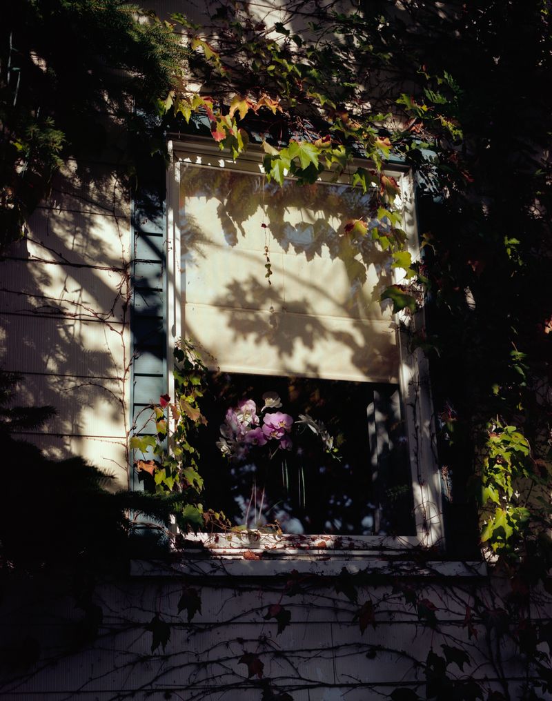 © Anna Leigh Clem - Image from the Visitor photography project