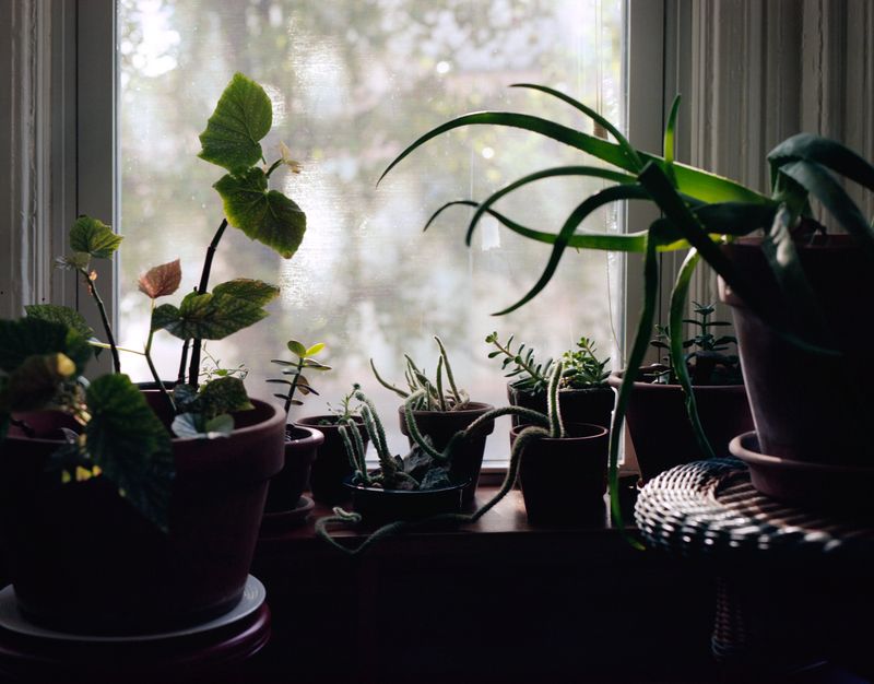 © Anna Leigh Clem - Image from the Visitor photography project